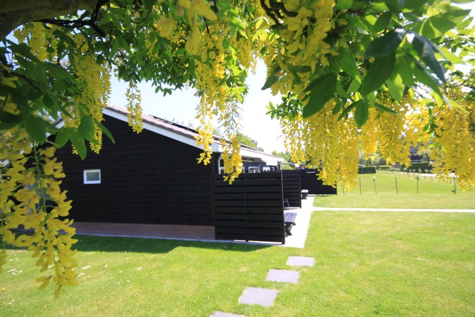 B&B Beach&Bos Bed and Breakfast in Rockanje