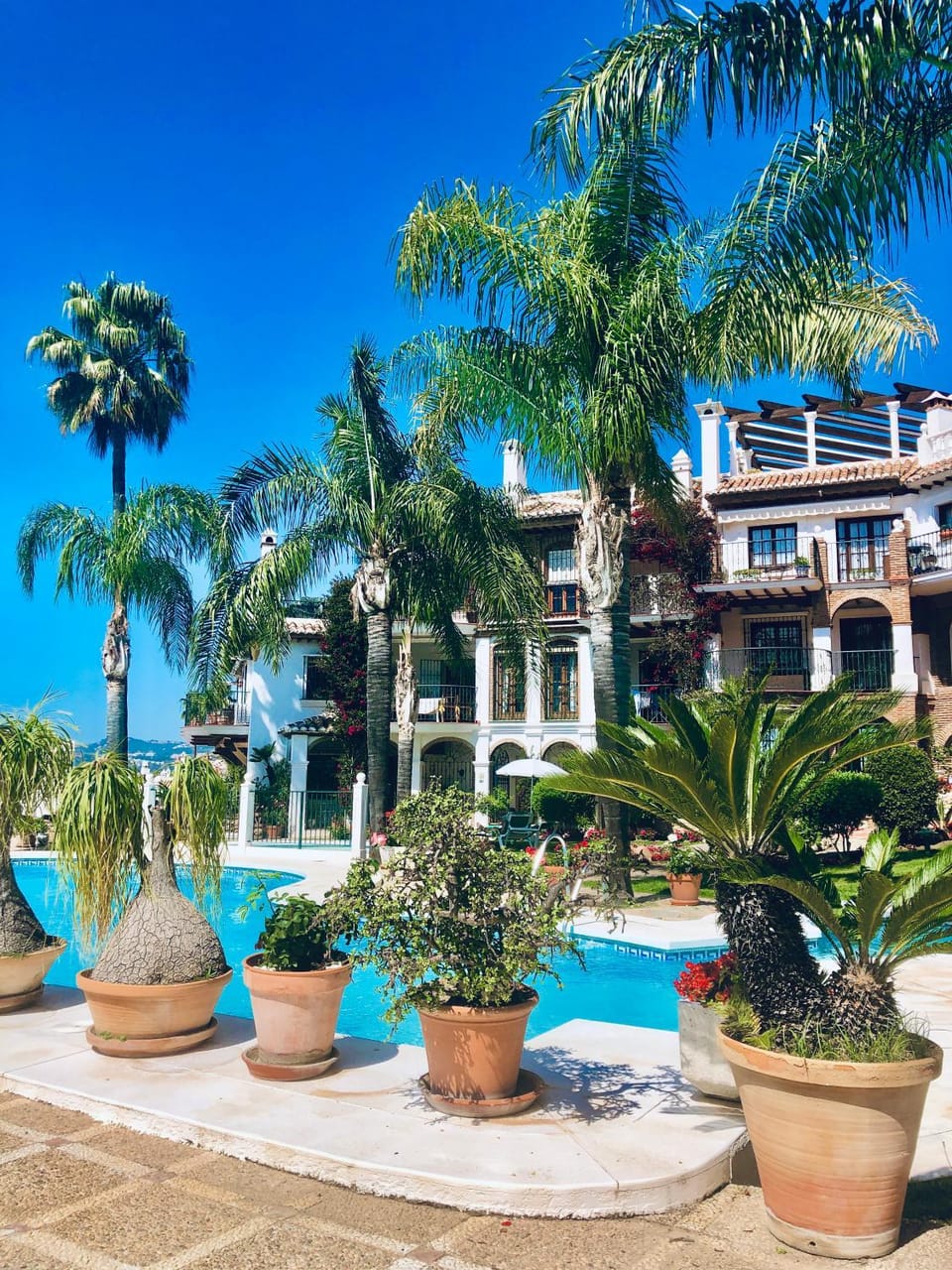 Property building, Garden, Garden view, Pool view, Swimming pool