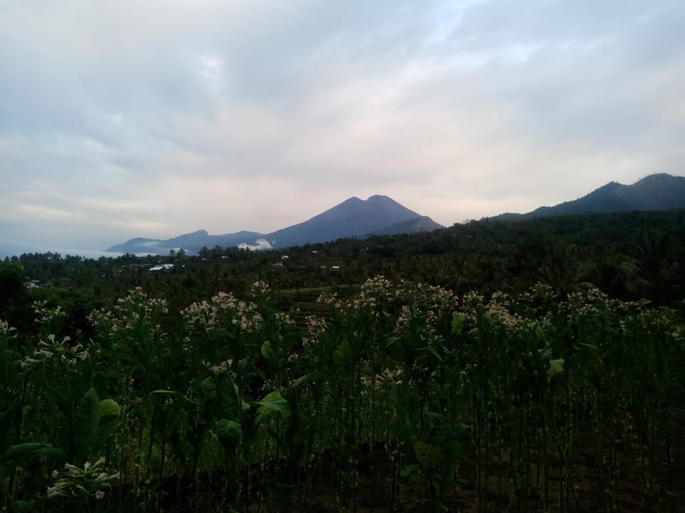 Natural landscape