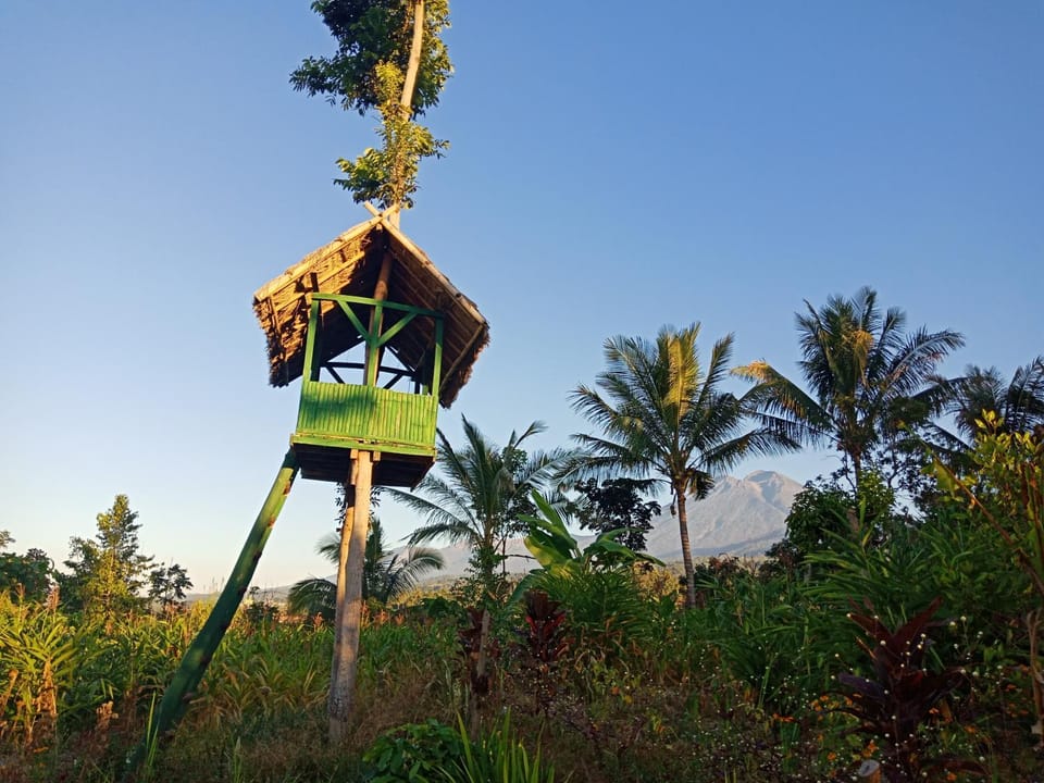 Nearby landmark