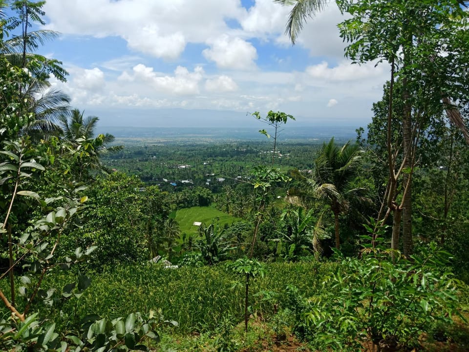 Natural landscape