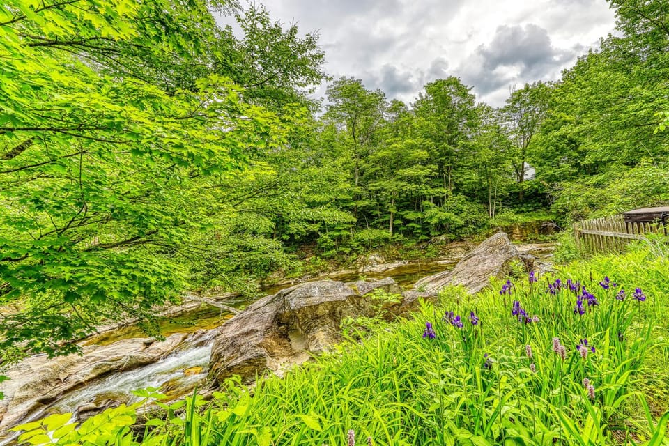 Sugarbush River Home House in Warren