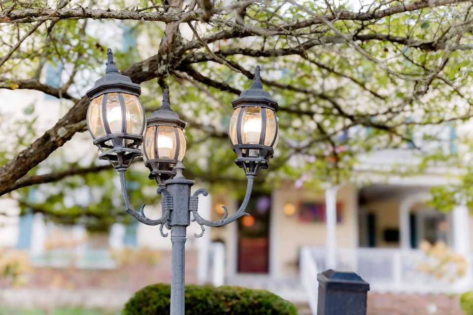 Spring, Day, Garden view