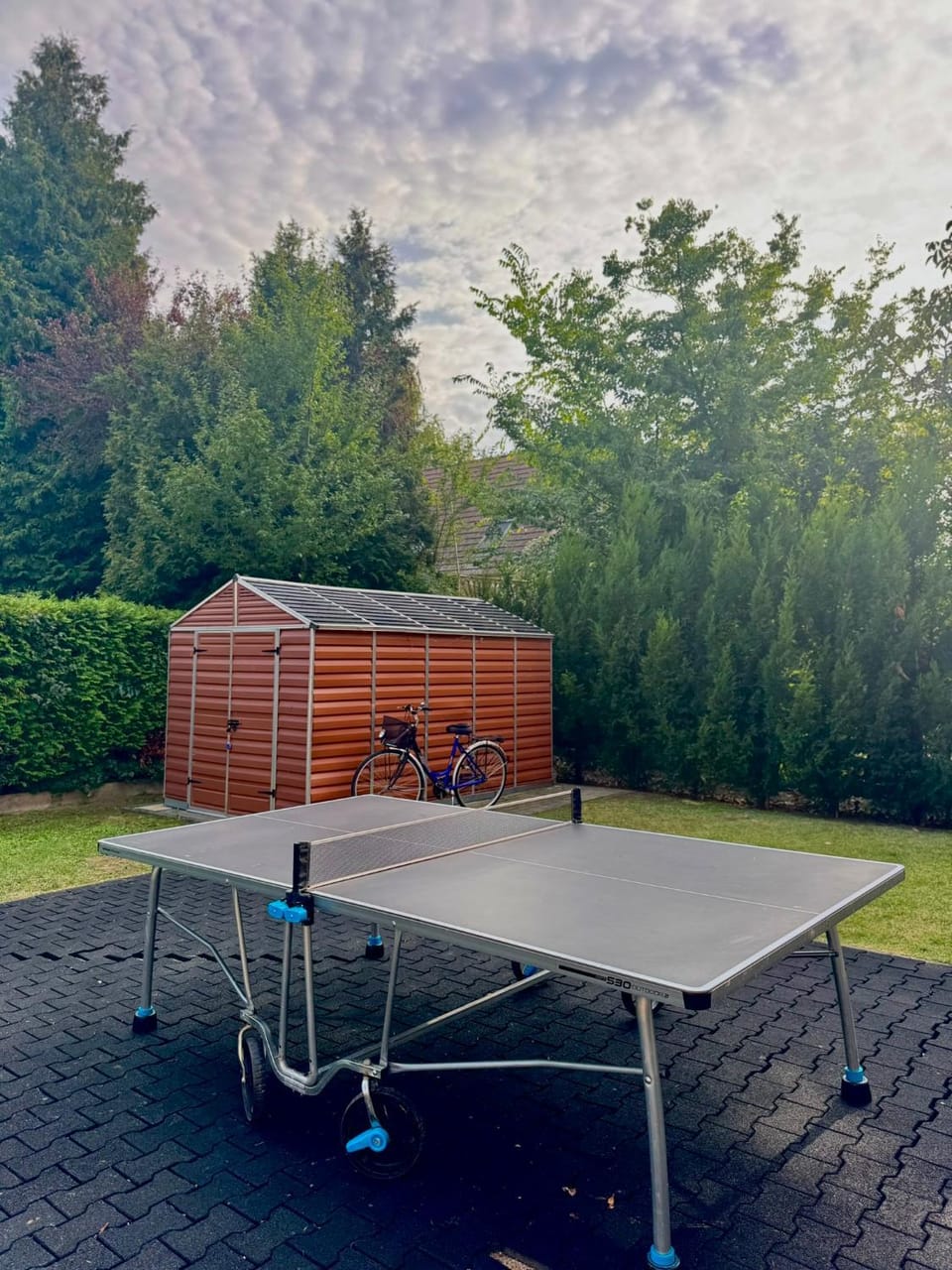 Table tennis