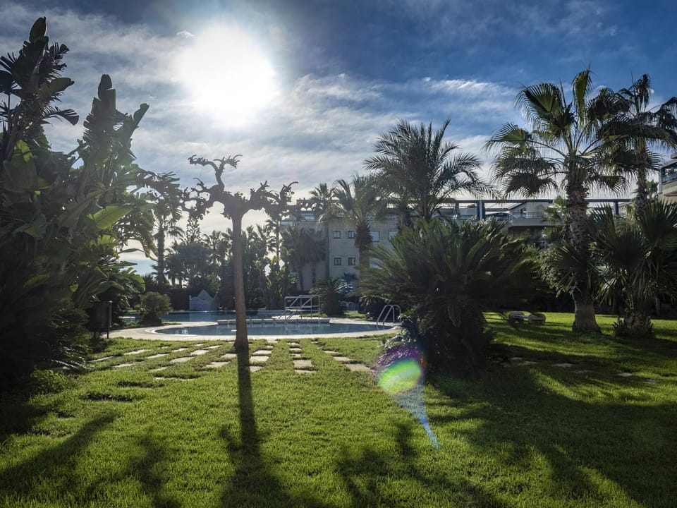 Patio, Garden, Garden view