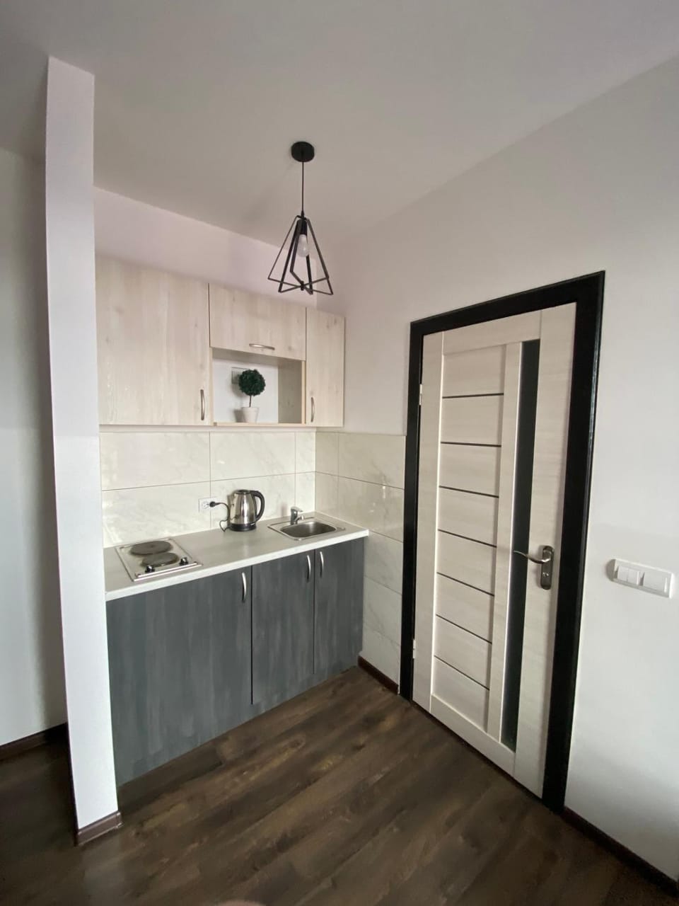lounge apartment Apartment in Lviv Oblast