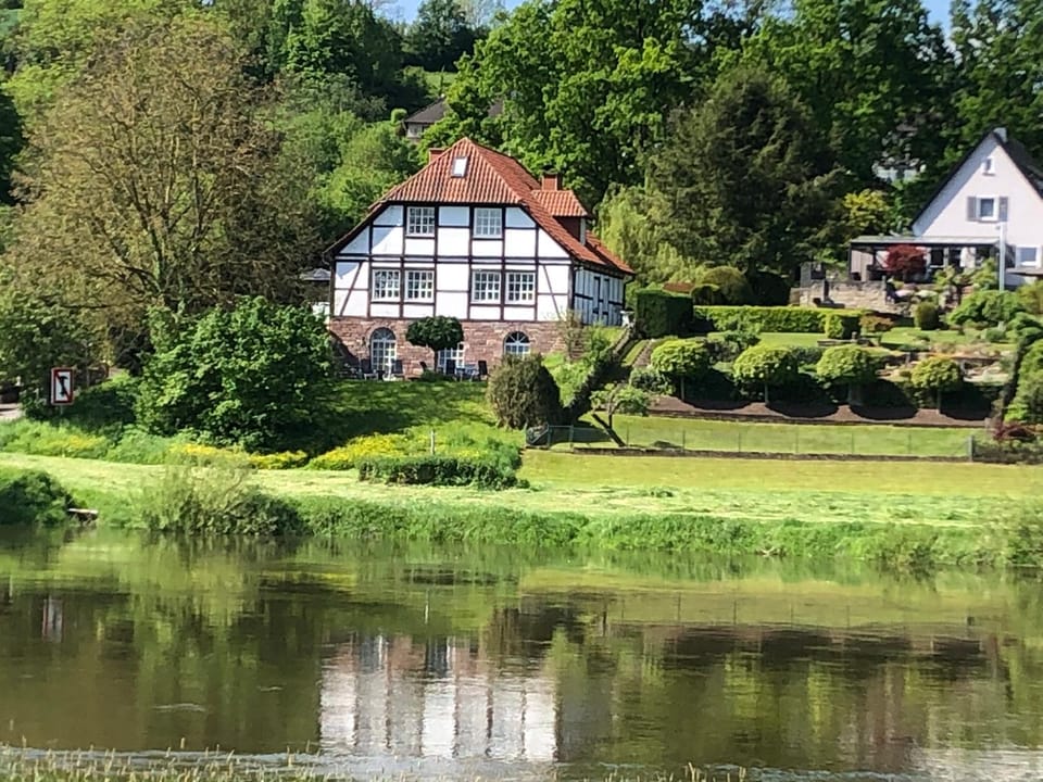 Lake view