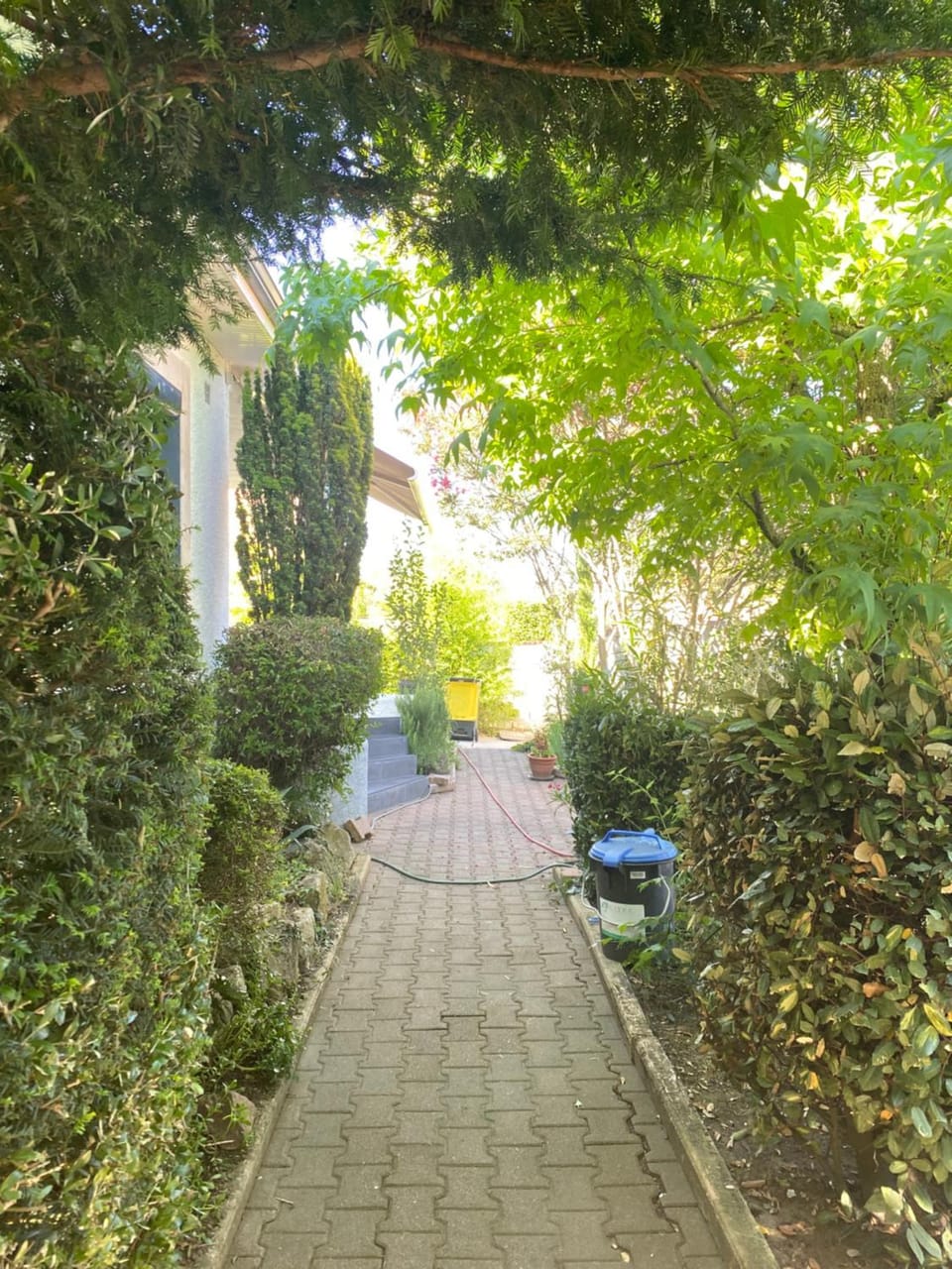 Garden, Garden