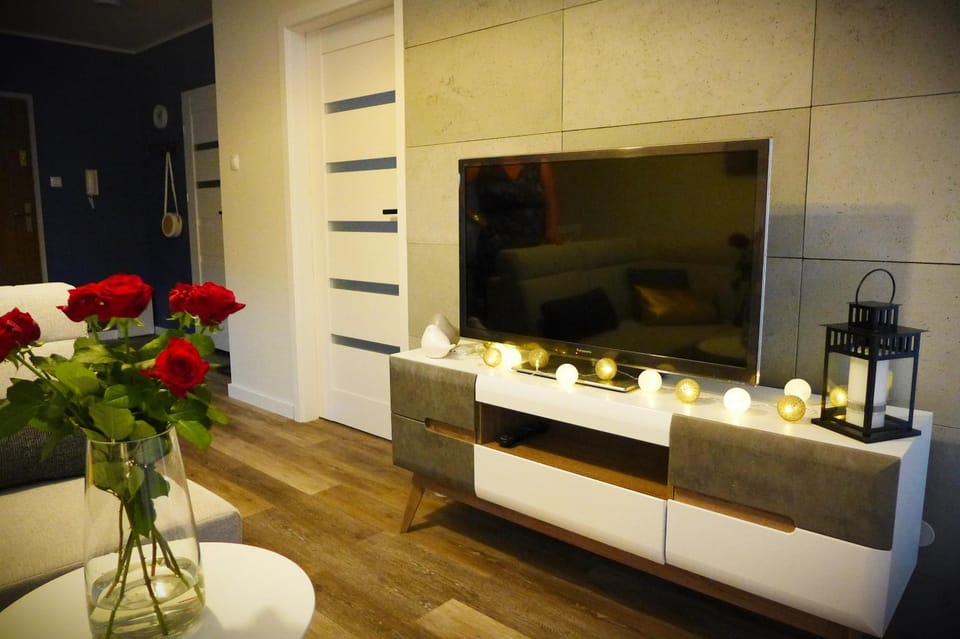 Communal lounge/ TV room, TV and multimedia, Living room