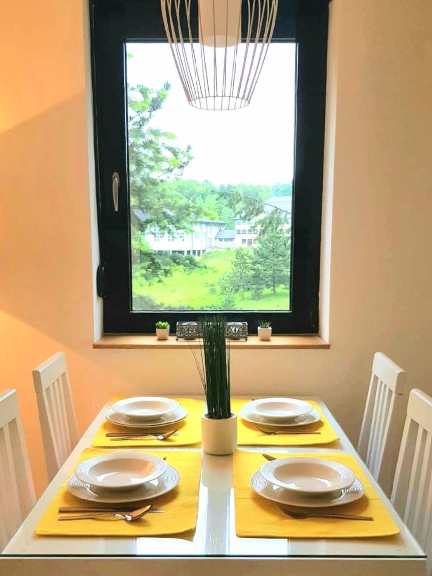 Apartman Berolina Apartment in Zlatibor