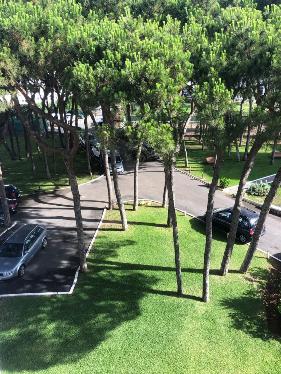 Garden, Garden view