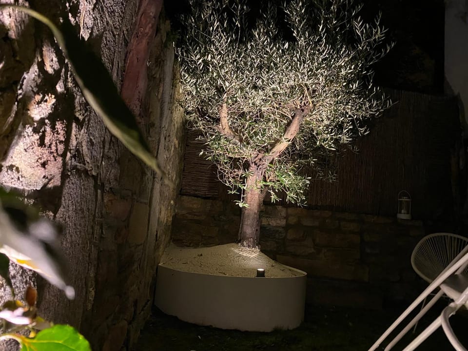 Solarium, Garden view