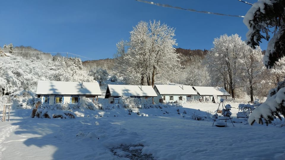 Property building, Natural landscape, Winter, Garden, Mountain view