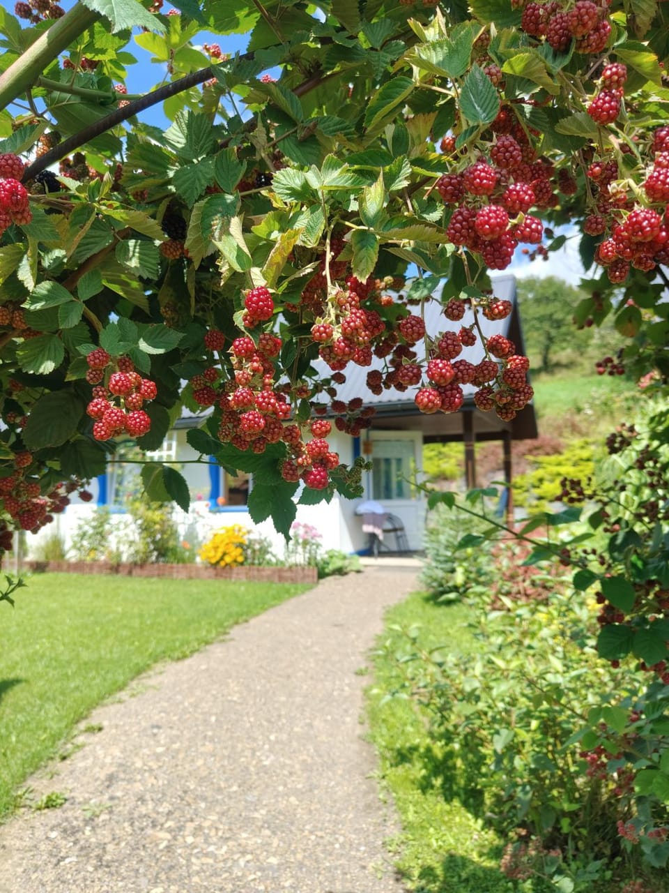 Property building, Natural landscape, Garden, pet friendly