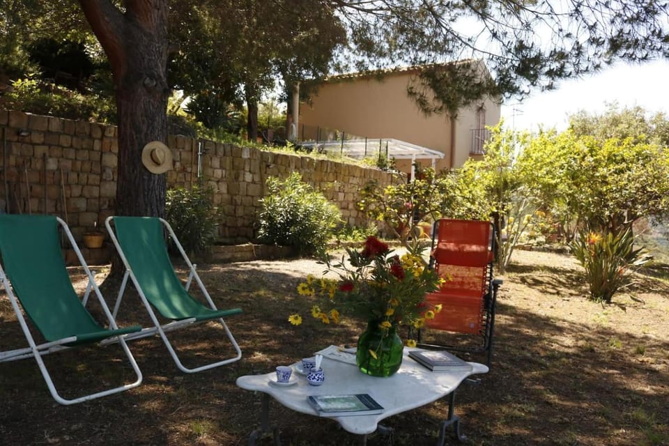 Patio, Spring, Day, Garden, Garden view, sunbed