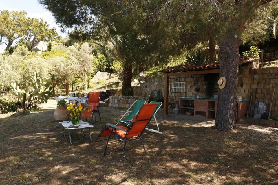 Patio, BBQ facilities, Garden, Garden view