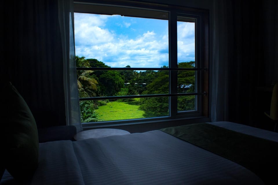View (from property/room)