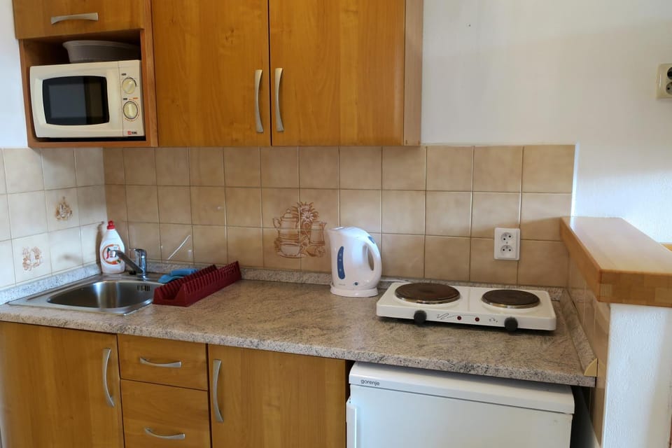 Kitchen or kitchenette, minibar