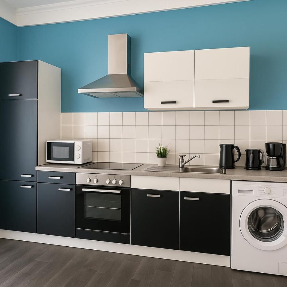 Kitchen or kitchenette, oven, stove, washing machine