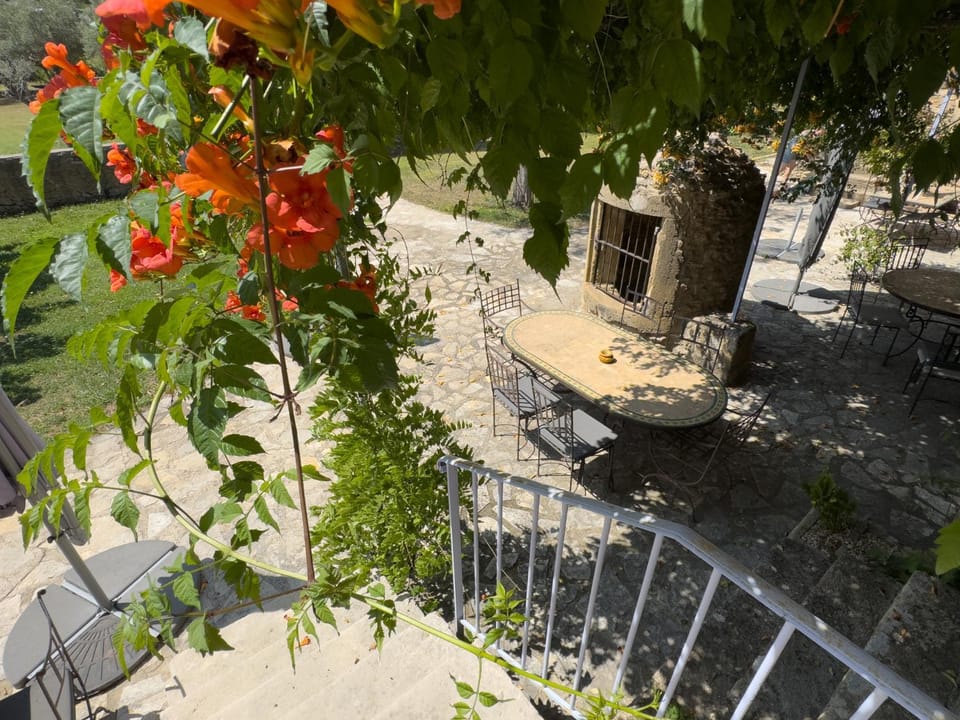 Dining area, Food, Food, Garden view