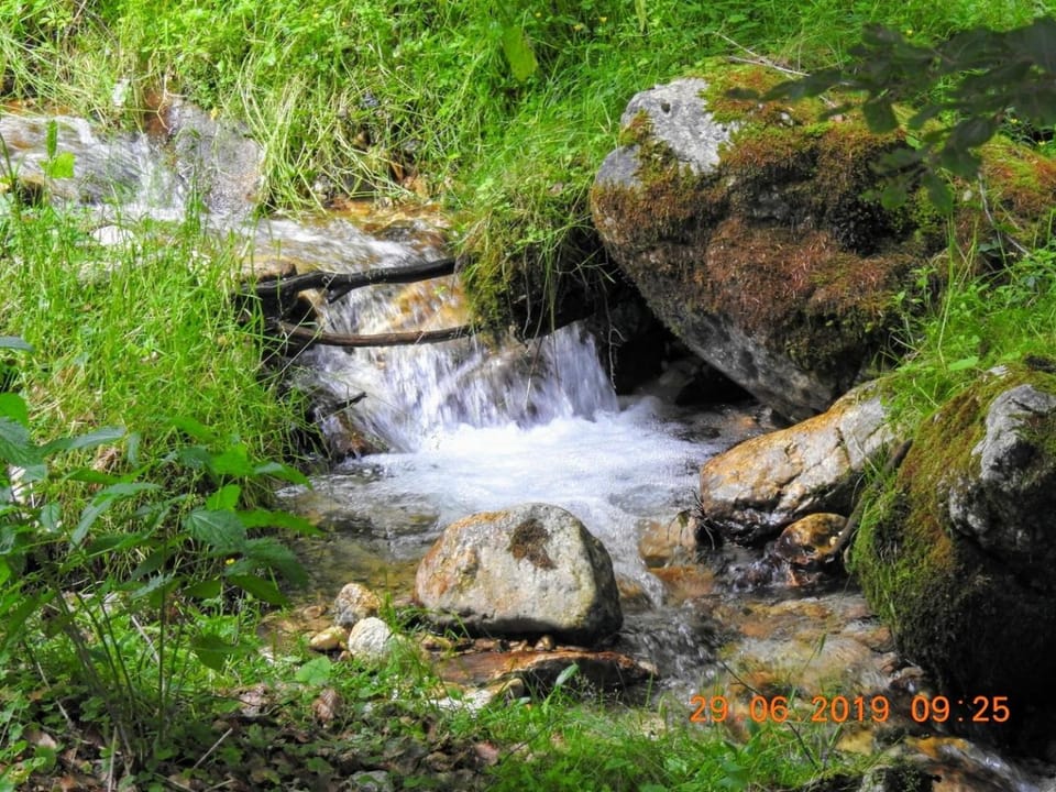 Hiking