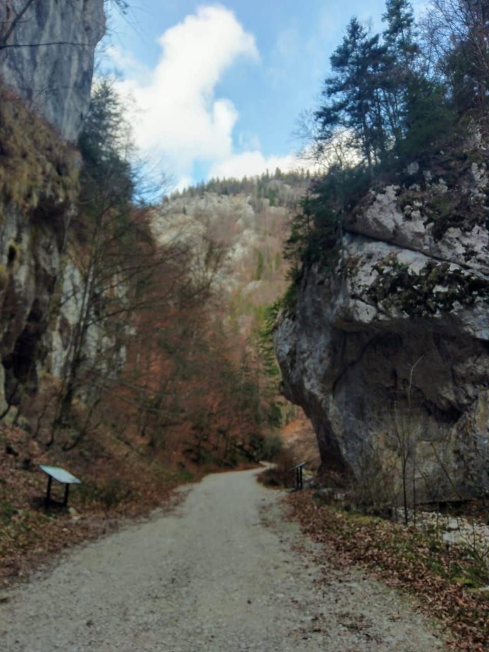 Natural landscape