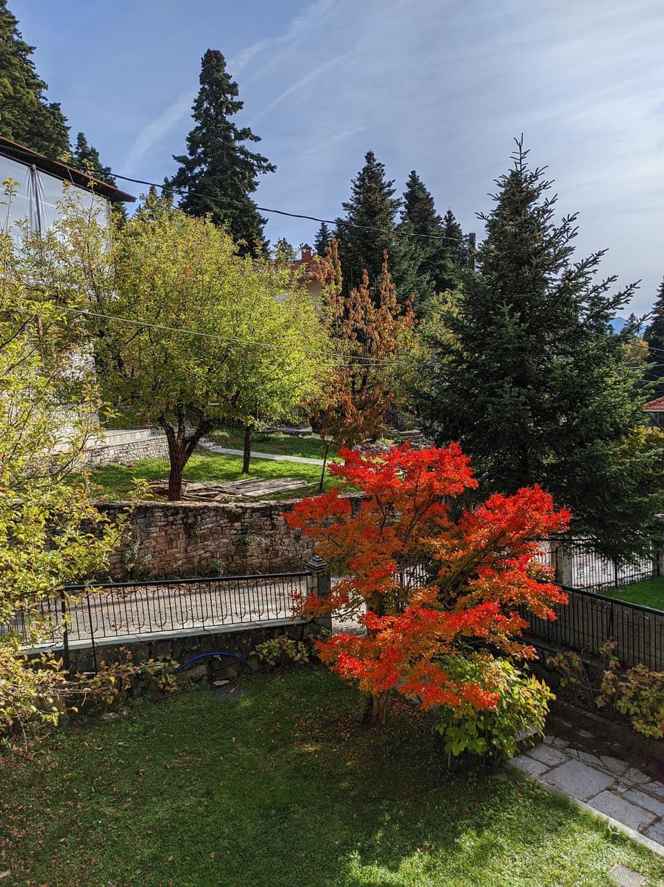 Garden, Autumn