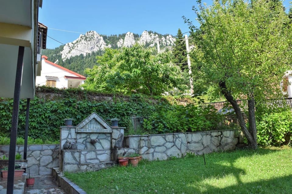 Garden, Mountain view