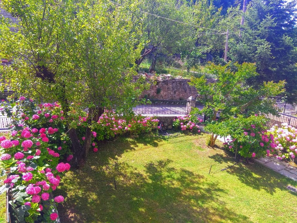 Property building, Summer, Garden, Garden view