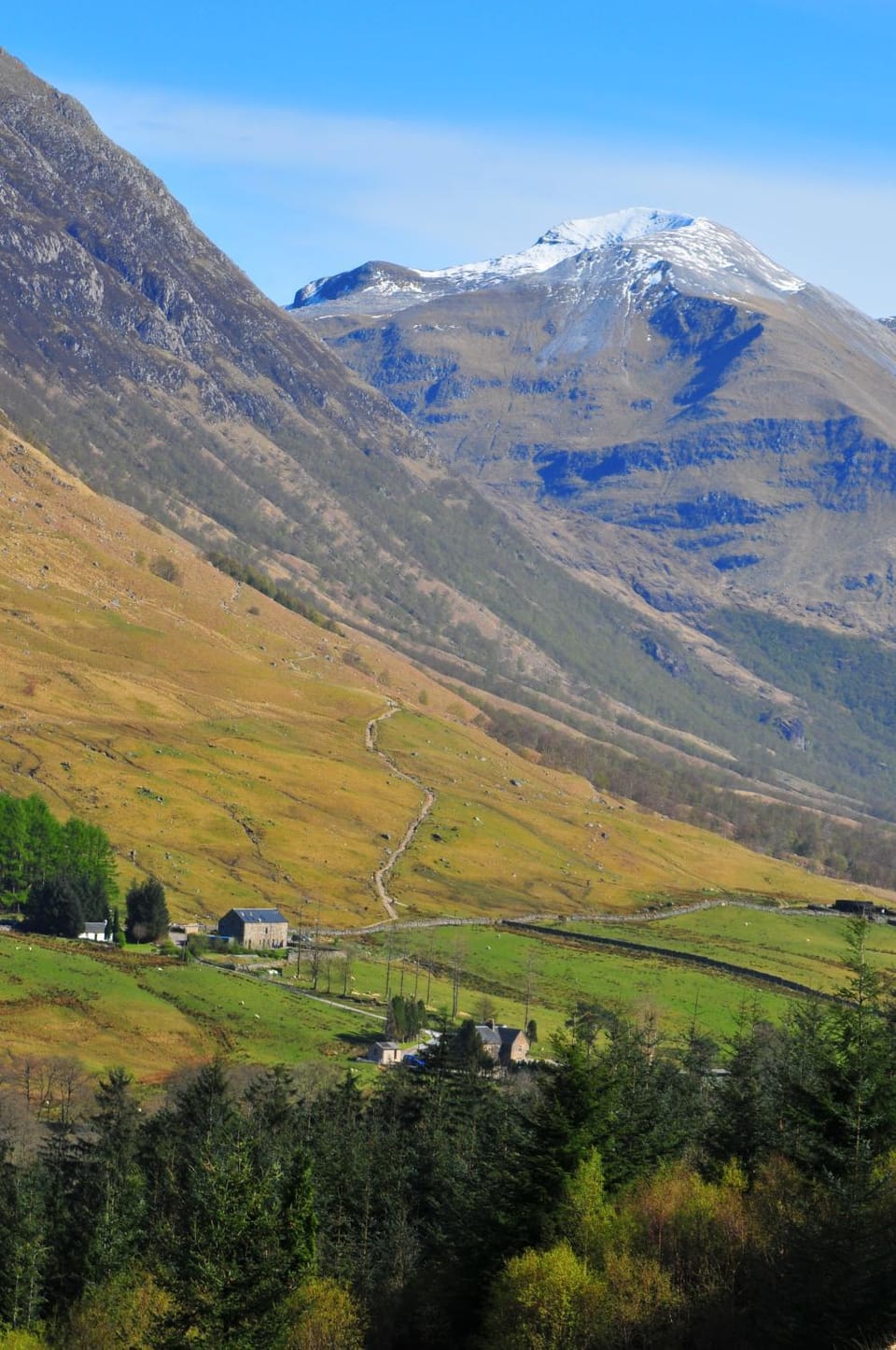 Shepherd's Cottage House in Scotland