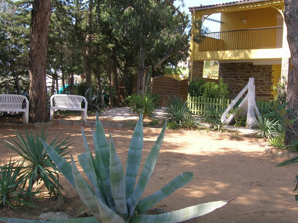 Patio, Garden