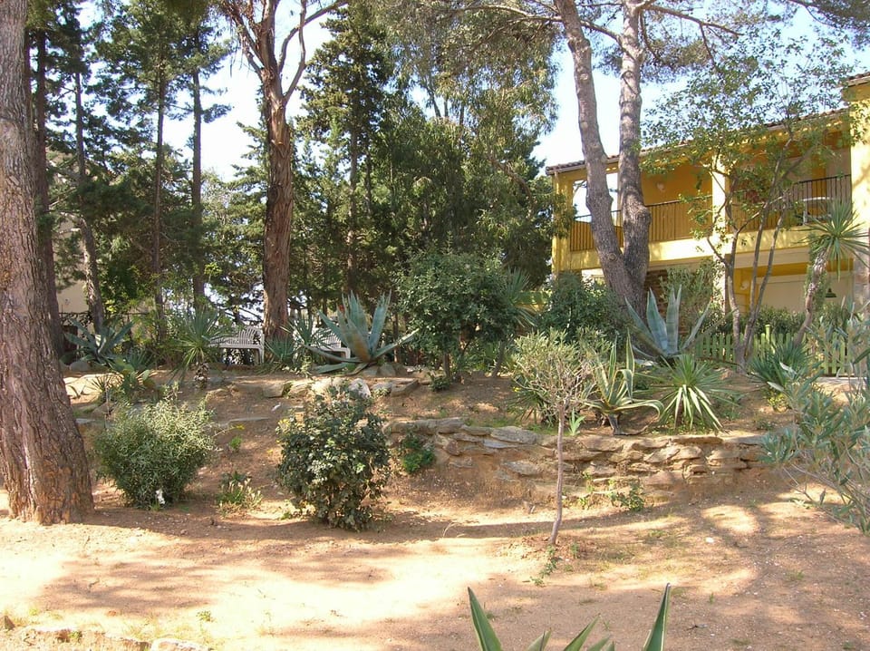 Garden, Garden view