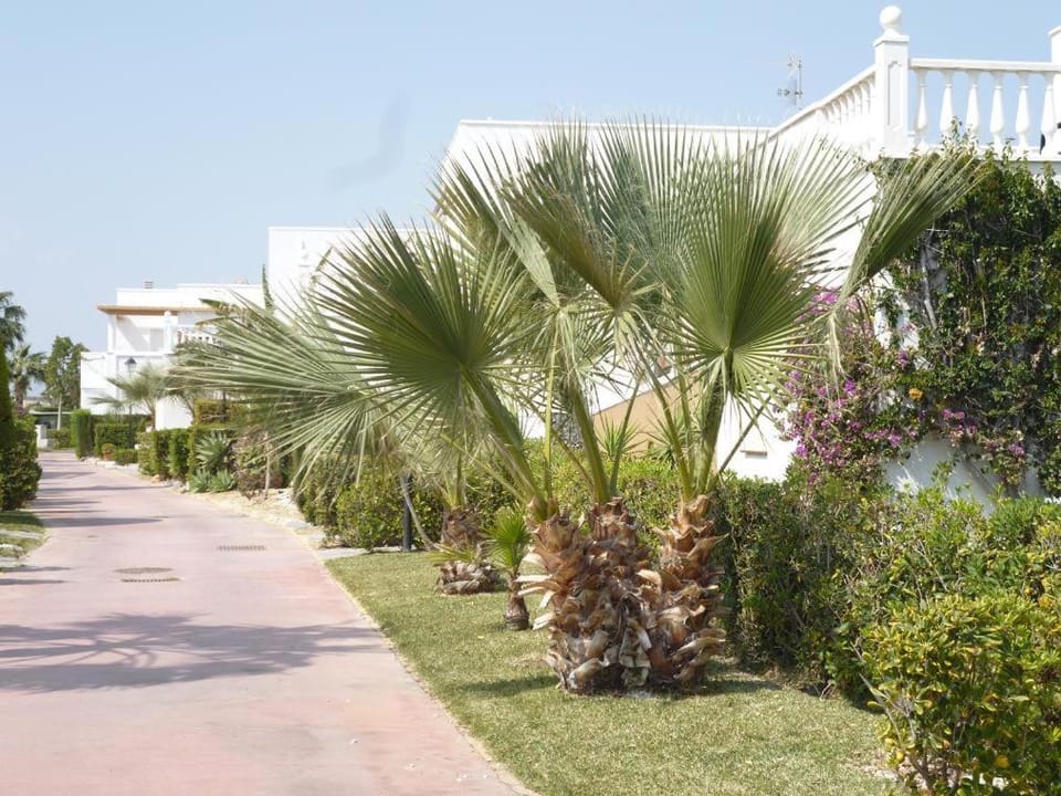 Bahía de Vera Apartamento Hibiscus Apartment in Andalusia