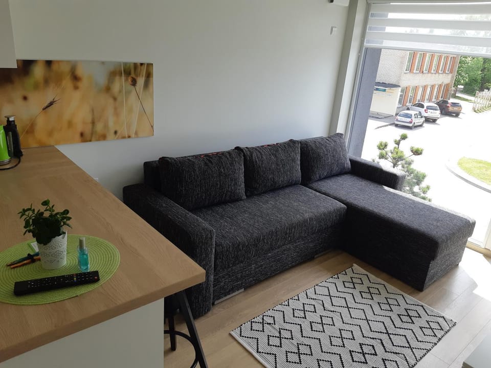 Malūno vilos studio Apartment in Palanga