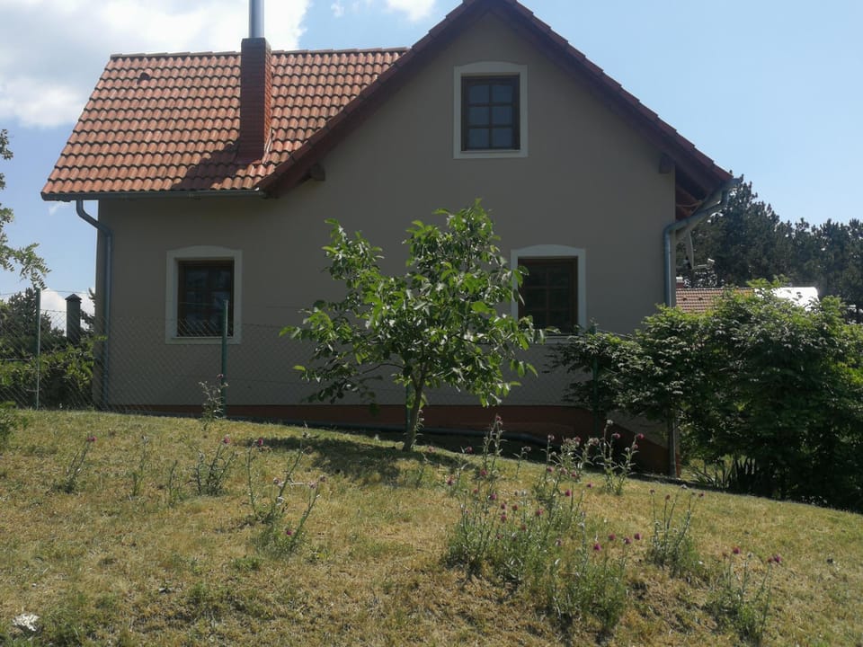 Bottyahát guesthouse House in Hungary