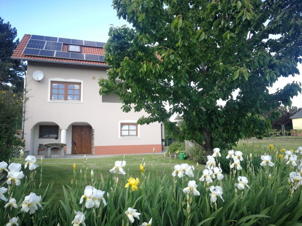 Bottyahát guesthouse House in Hungary