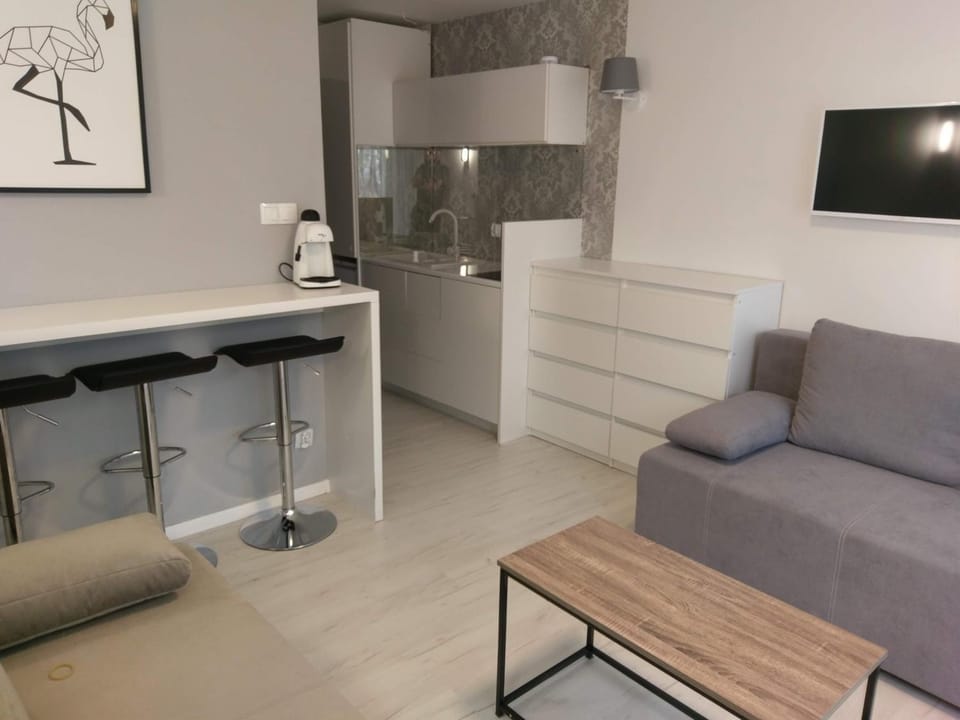 SANSET APART Okuninka Apartment in Belarus