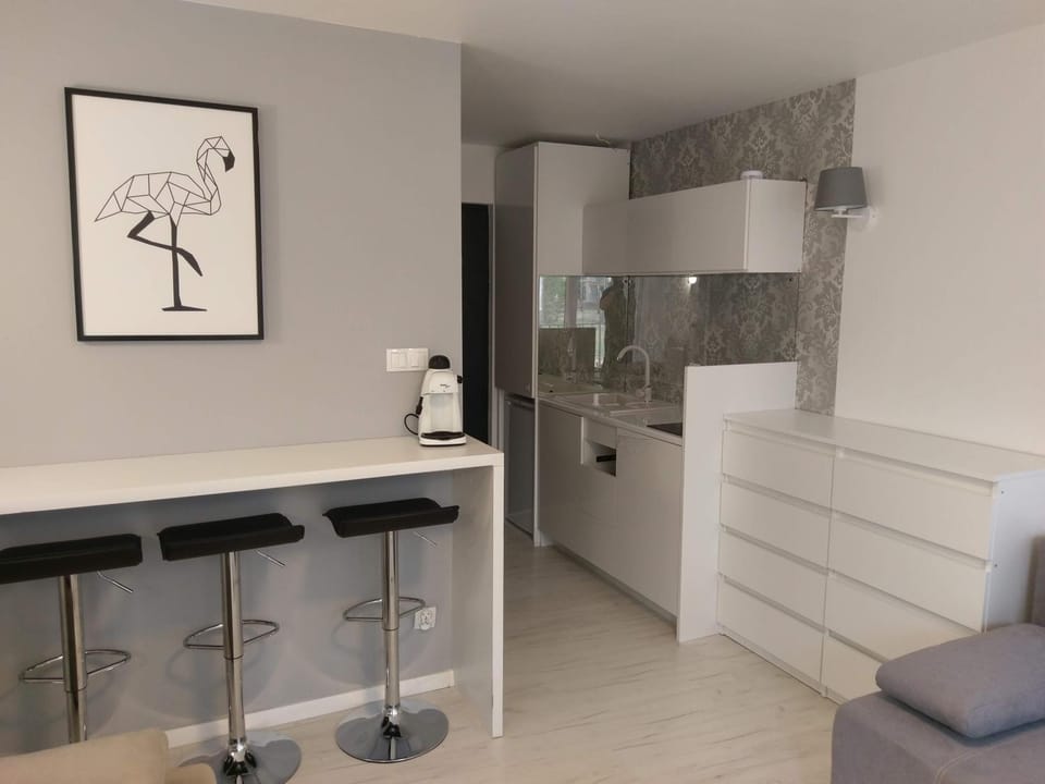 SANSET APART Okuninka Apartment in Belarus