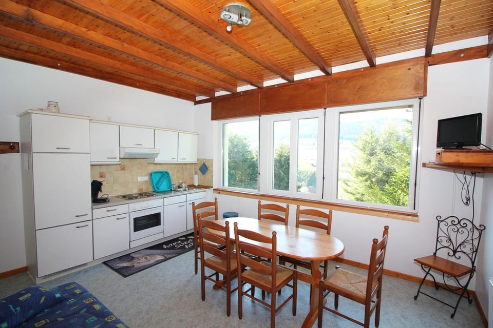 TV and multimedia, Kitchen or kitchenette, Living room, Dining area, oven, stove