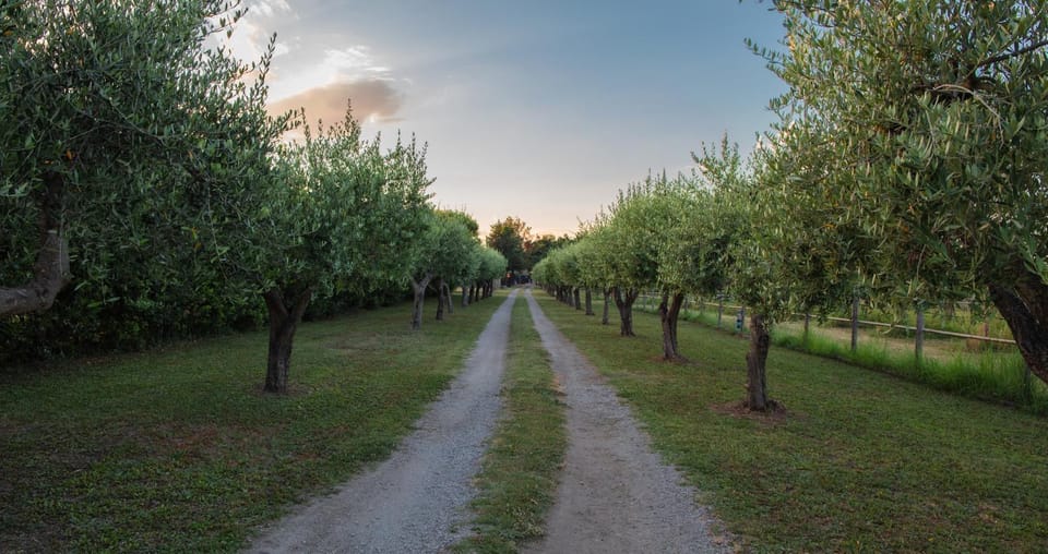 Fuori le Mura Bed and Breakfast in Campania