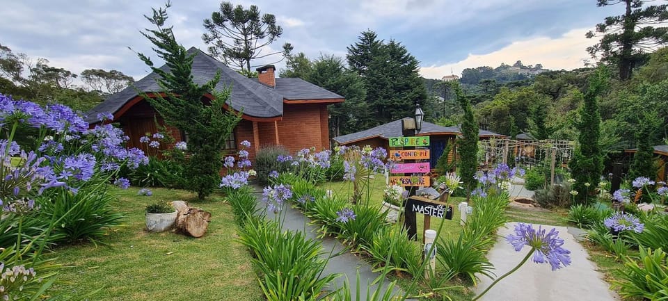 Spring, Garden, View (from property/room), Garden view, Landmark view