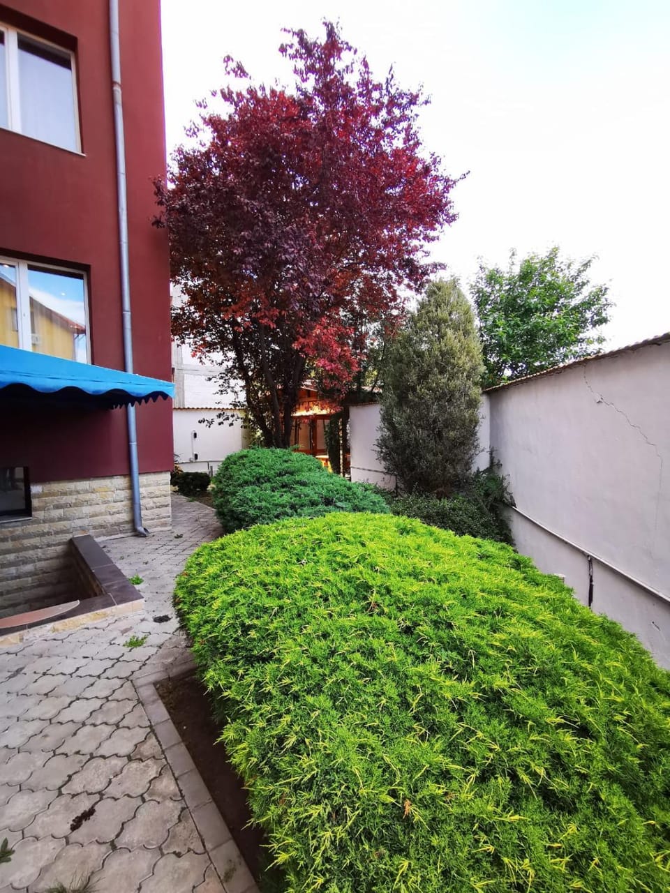 Property building, Garden