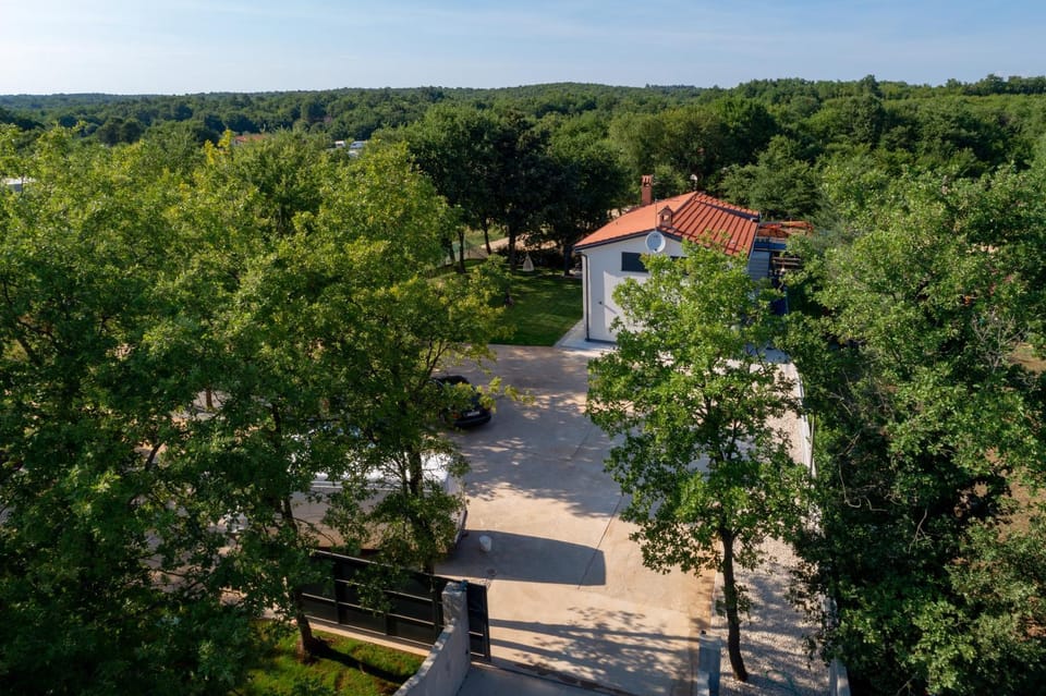 Neighbourhood, Bird's eye view, Garden view