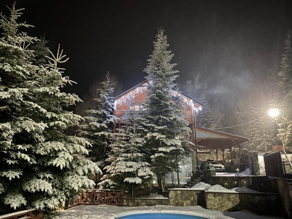 VIP HOUSES Карпати Мигово Villa in Romania