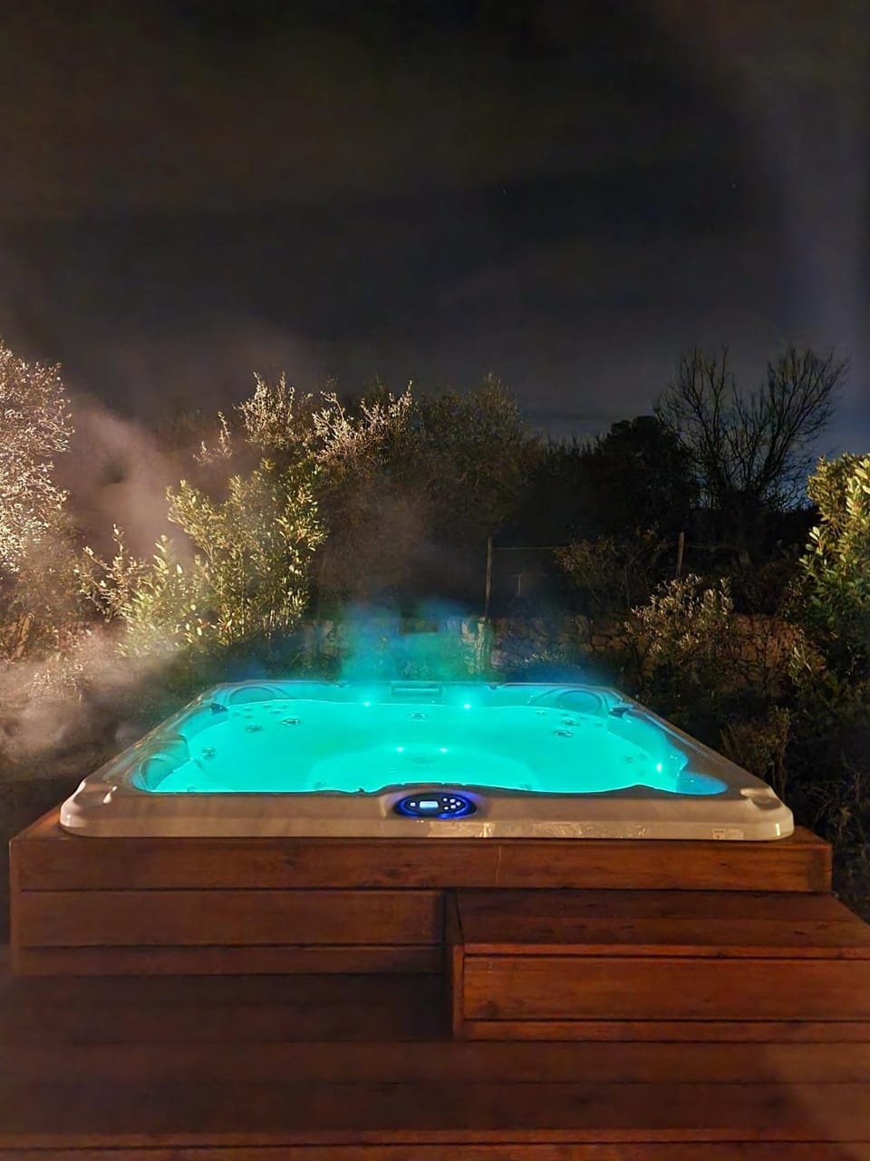 Spa and wellness centre/facilities