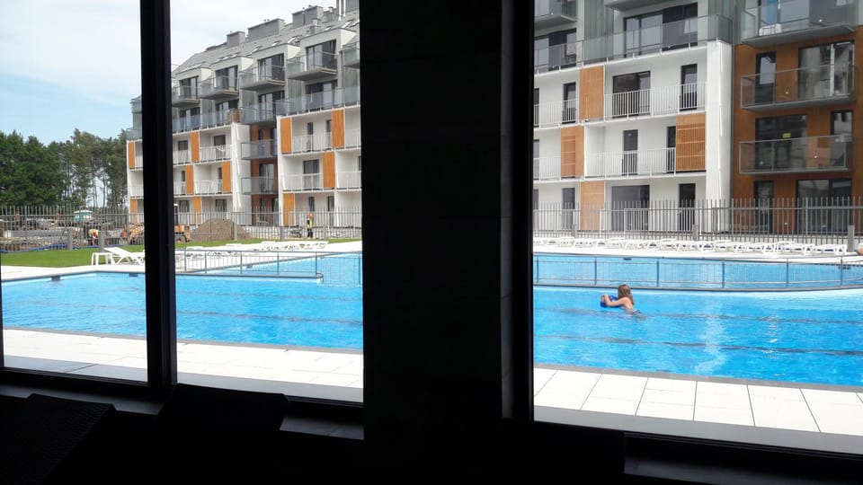 Summer, Pool view, Swimming pool