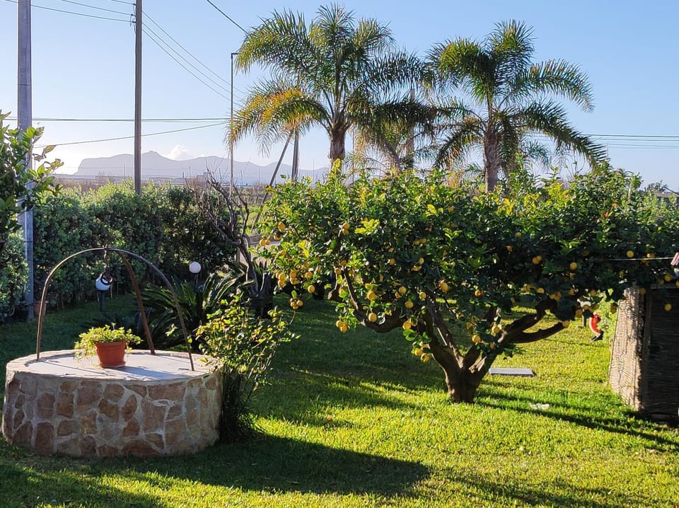 Garden, Sea view