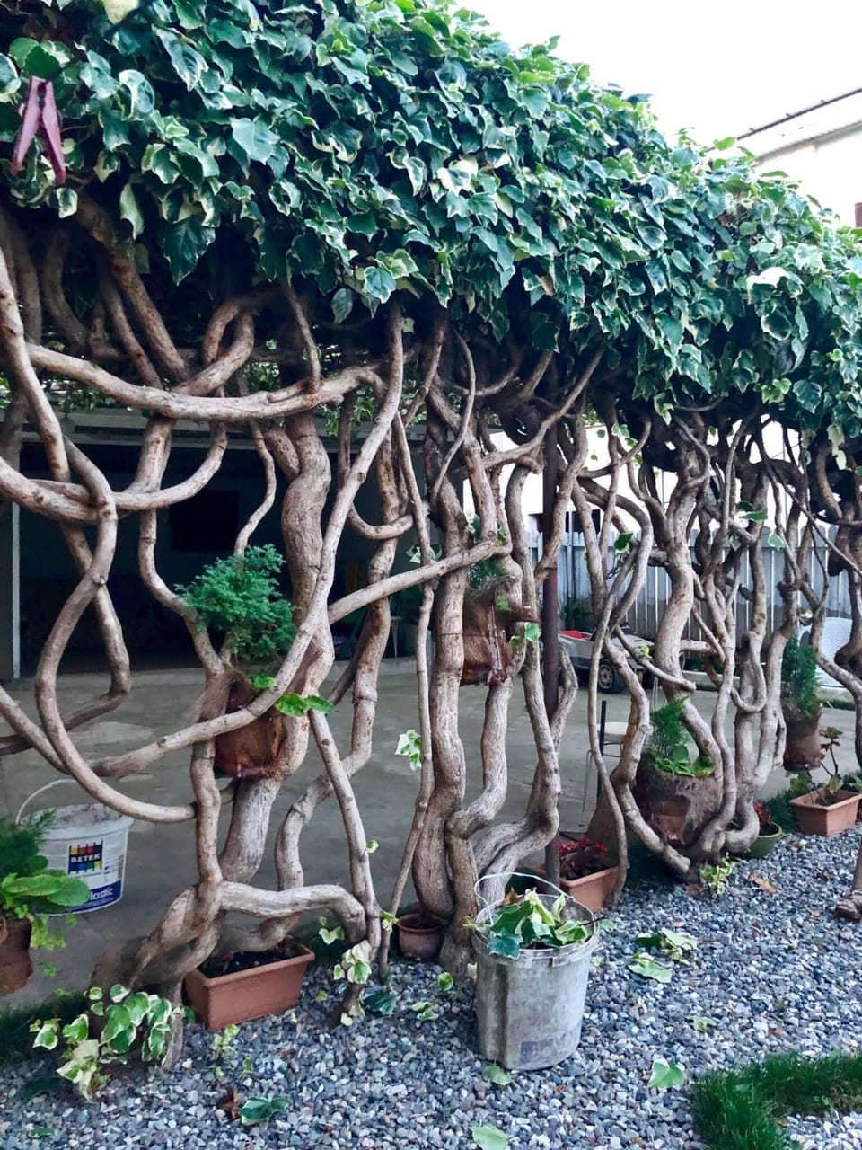 Green Garden Bed and Breakfast in Georgia