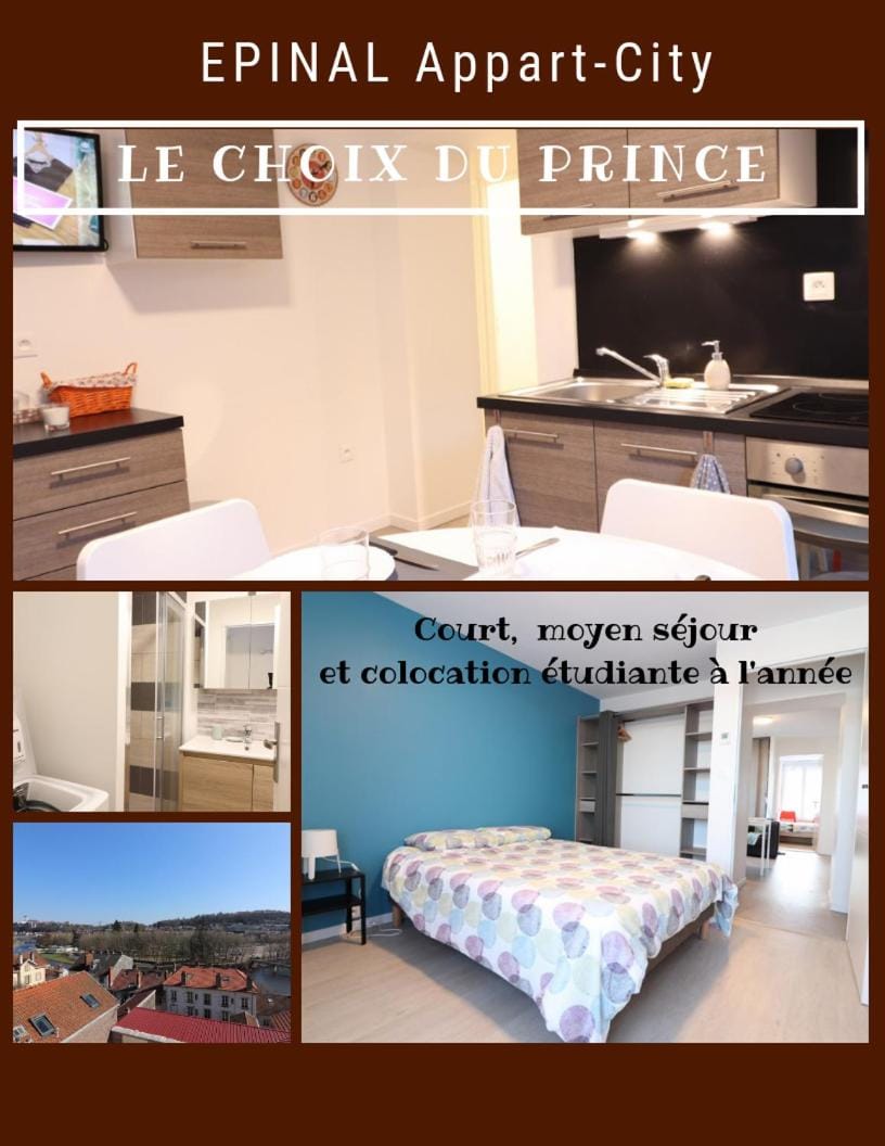 La vue du Prince au 1D Apartment in Vosges