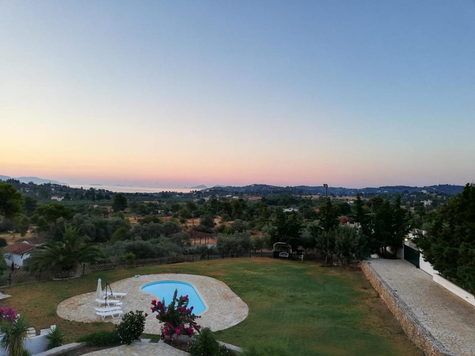 Summer, Garden, On site, Sunrise
